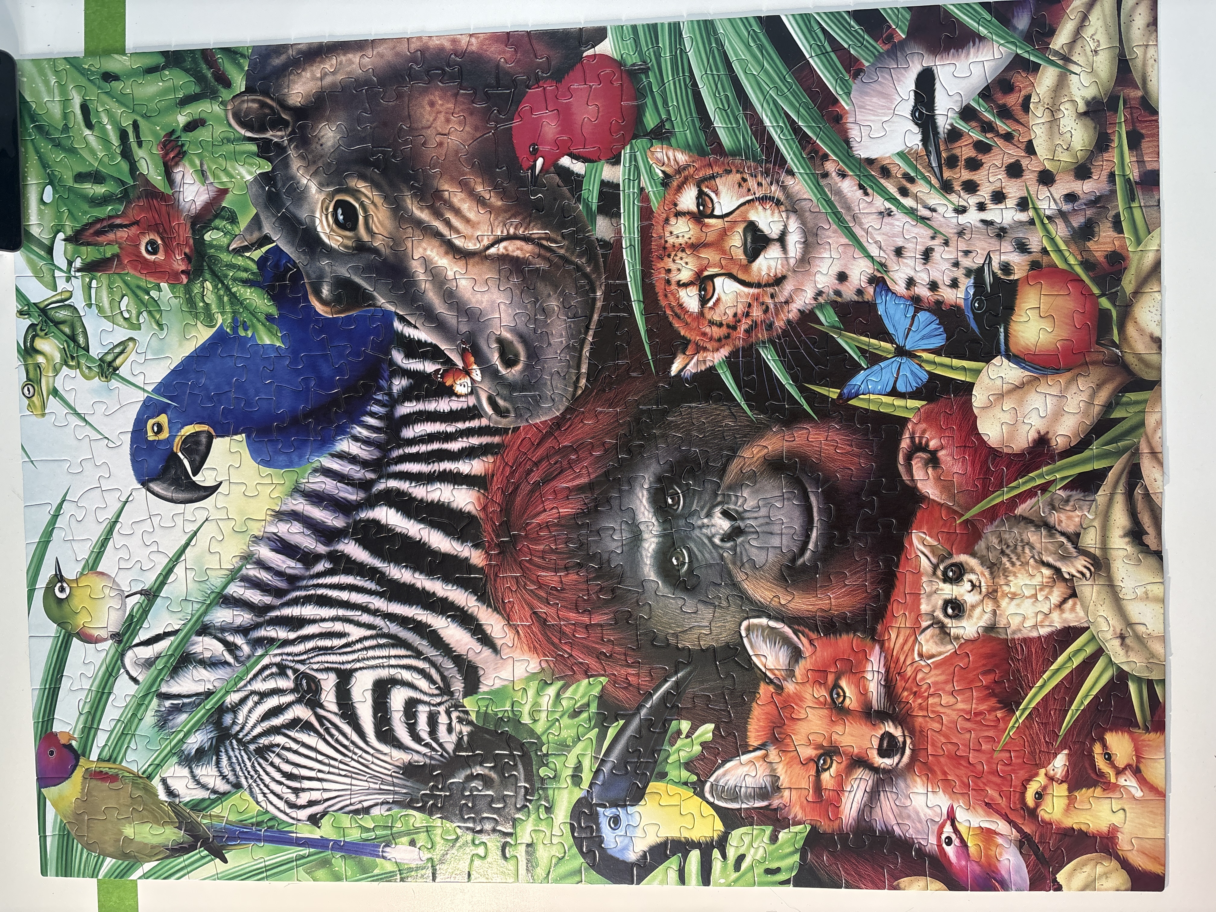 Colorcraft Puzzles Jungle magic 500 pieces | MySpeedPuzzling