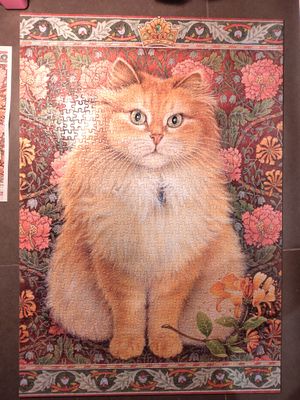 Flame Tree Blossomire - obrázek puzzlí