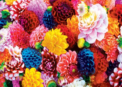 Masterpieces Beautiful Blooms - obrázek puzzlí