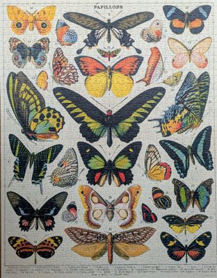 Cavallini & Co. Butterflies - obrázek puzzlí