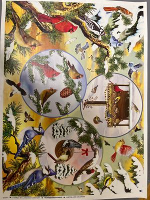 Cobble Hill Winterbird magic - obrázek puzzlí