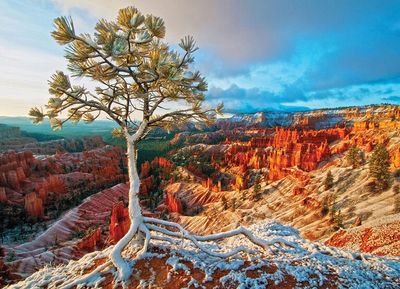Eurographics Winter sunrise - puzzle image