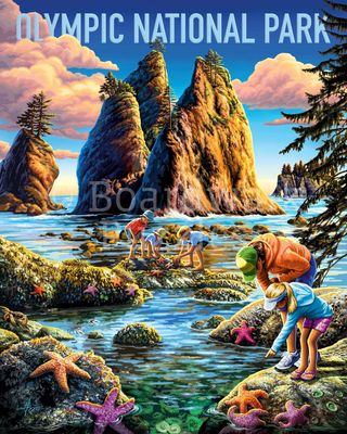 Boardwalk Olympic National Park - puzzle image