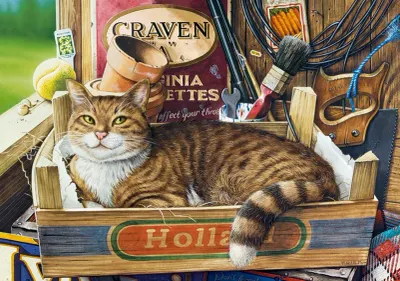 Castorland Fothergill - puzzle image