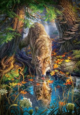 Castorland Wolf in the Wild - obrázek puzzlí
