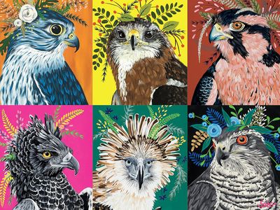Ceaco Birds - obrázek puzzlí