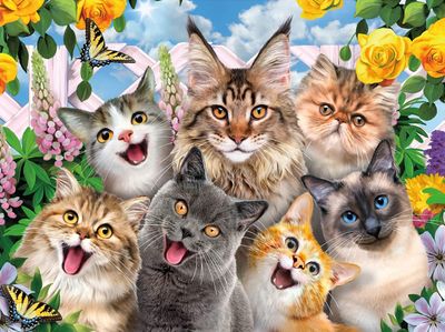 Ceaco Selfies - Feline Friends - obrázek puzzlí