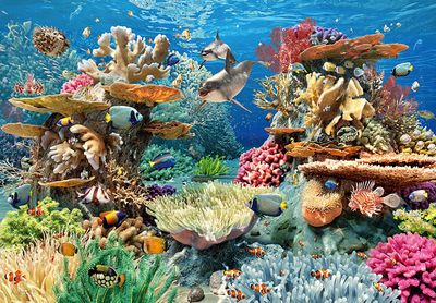 Cherry Pazzi Living Reef - puzzle image