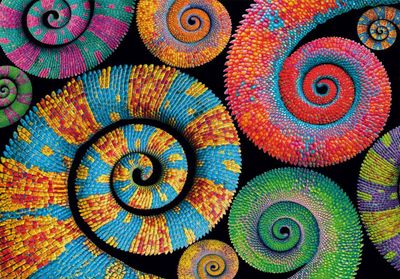 Clementoni ColorBoom: Curly Tails - puzzle image