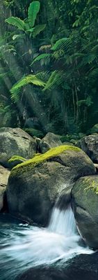 Clementoni Nature - obrázek puzzlí