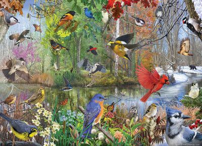 Cobble Hill Birds of the Season - obrázek puzzlí