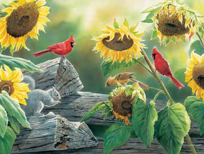 Cobble Hill Sunflower Buffet - obrázek puzzlí