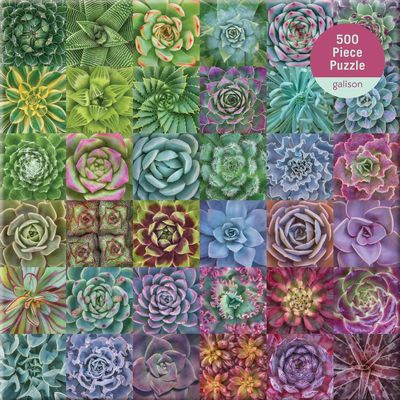 Galison Succulent Spectrum - obrázek puzzlí