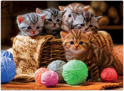 Game Office Cesta de Gatinhos - obrázek puzzlí