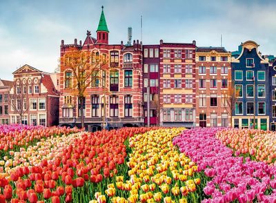 Grow Flores em Amsterdam - obrázek puzzlí