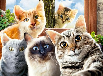 Grow Selfie Cats - obrázek puzzlí