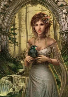 Heye Crow - obrázek puzzlí