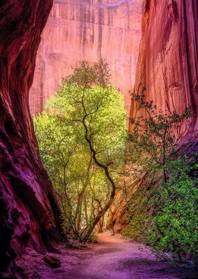 Heye Singing Canyon - obrázek puzzlí