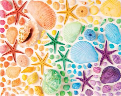Hinkler Seashells - puzzle image