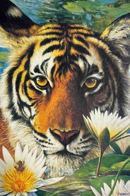 Jumbo Tiger Lily - obrázek puzzlí