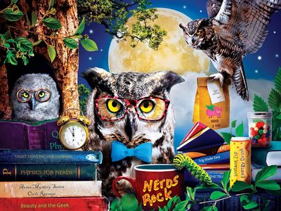 Masterpieces Night Owl Study Group - obrázek puzzlí