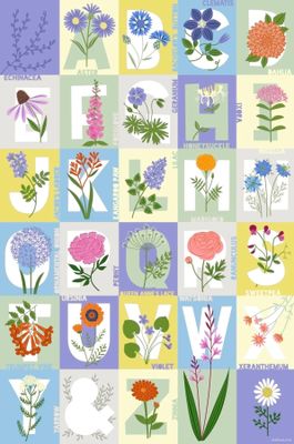 Oakland Puzzle Company ABC Flowers - obrázek puzzlí