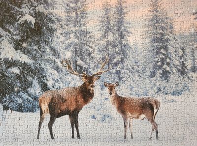 Professor Puzzle Deer in Winter - obrázek puzzlí