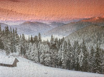 Professor Puzzle Pine Trees - obrázek puzzlí