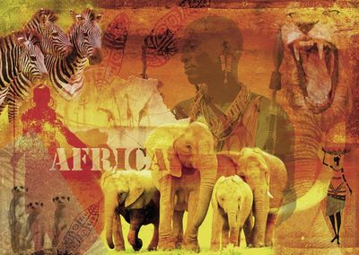 Ravensburger Impressions of Africa - puzzle image