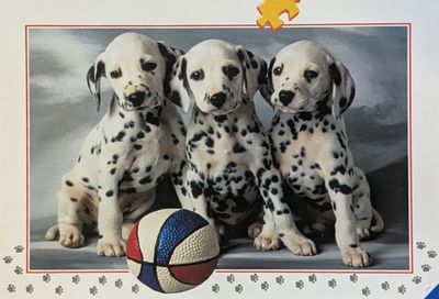 Ravensburger 1,2,3 Dalmatians - obrázek puzzlí