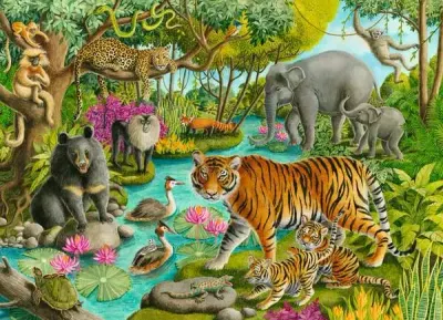 Ravensburger Animals of India - obrázek puzzlí