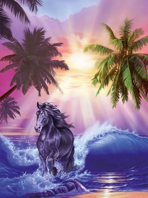 Ravensburger Beach Sunset - obrázek puzzlí