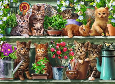 Ravensburger Cats on the Shelf - puzzle image