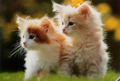 Ravensburger Cuddly Kittens - obrázek puzzlí