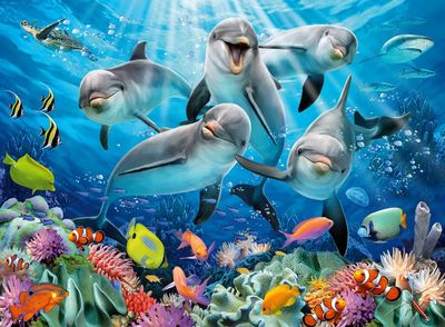 Ravensburger Dolphins in The Coral Reef - puzzle image