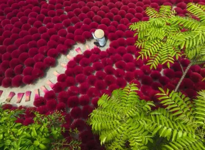 Ravensburger A Sea of Red - puzzle image