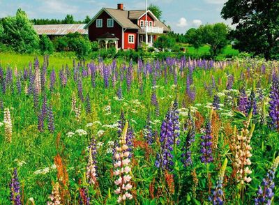 Ravensburger Farm in Sweden - obrázek puzzlí