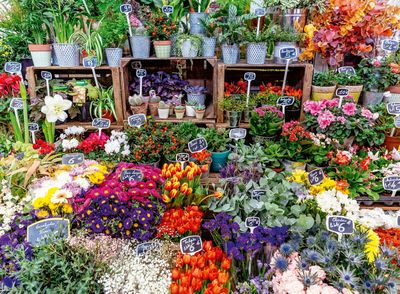 Ravensburger Flower Market, France - puzzle image