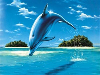 Ravensburger Fresh Feeling - obrázek puzzlí