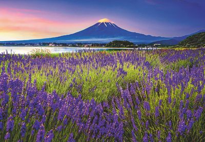 Ravensburger Fuji Mountain - obrázek puzzlí