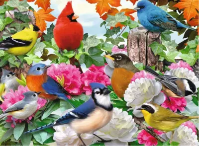Ravensburger Garden Birds - puzzle image