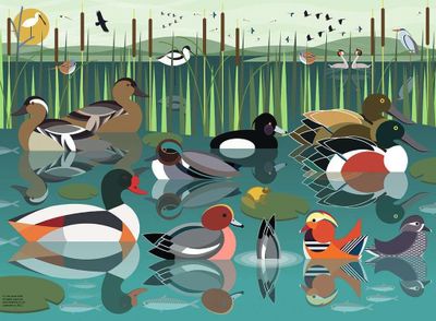 Ravensburger I Like Birds - obrázek puzzlí