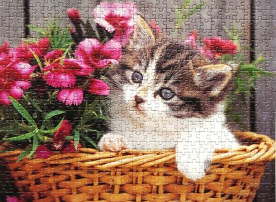Ravensburger Kitty - imagen del puzzle
