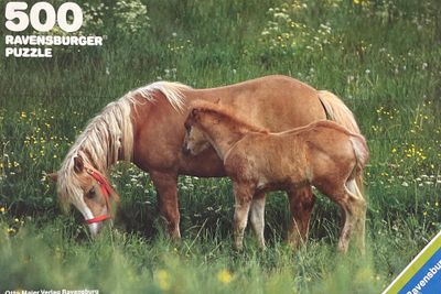 Ravensburger Meadow Scene - obrázek puzzlí