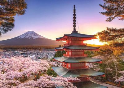 Ravensburger Mount Fuji Cherry Blossom View - puzzle image