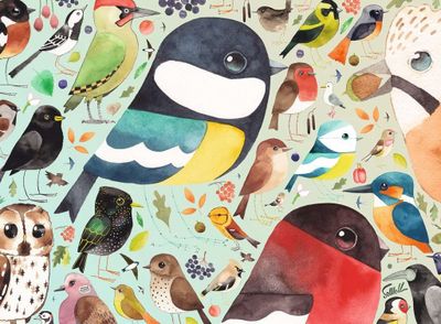 Ravensburger Our British Birds - puzzle image