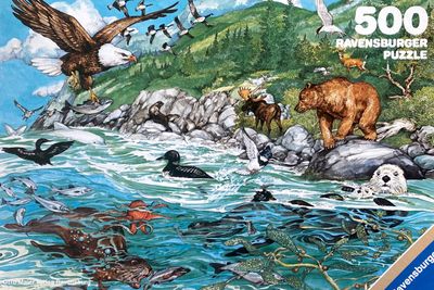 Ravensburger Pacific Shoreline - obrázek puzzlí