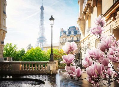 Ravensburger Springtime in Paris - obrázek puzzlí