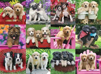 Ravensburger Puppy Pals - puzzle image