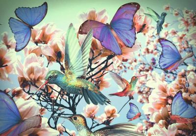 Ravensburger Puzzle Moment: Hummingbird - puzzle image